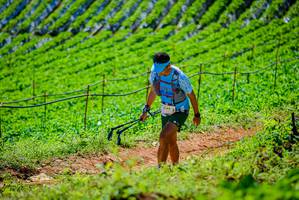 BIB: 2199
                            <button type="button" onclick="openModal(19163719)" class="btn btn-primary btn-sm float-right btn-popup" data-toggle="modal" data-target=".modal-high-quality">
                        <i class="fas fa-shopping-cart"></i> Add to Cart
                    </button>
                                            <button type="button" onclick="isThisMe(19163719, true)" class="btn btn-success btn-sm float-right btn-popup btn-isme hidden" data-toggle="tooltip" data-placement="bottom" title="นี่คือรูปของคุณใช่ไหม คลิกที่นี่เพื่อเอาเข้าอัลบั้ม">
                        <i class="fas fa-plus"></i> Add to album
                    </button>
                    <button type="button" onclick="isThisMe(19163719, false)" class="btn btn-warning btn-sm float-right btn-popup btn-isnotme hidden">
                        <i class="fas fa-ban"></i> Remove from album
                    </button>